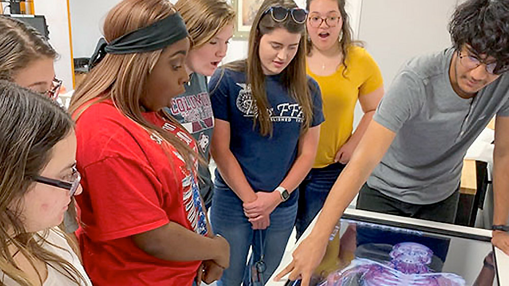 The Nuclear Power Institute engages K-12 students through science, technology, engineering and mathematics mentoring programs.